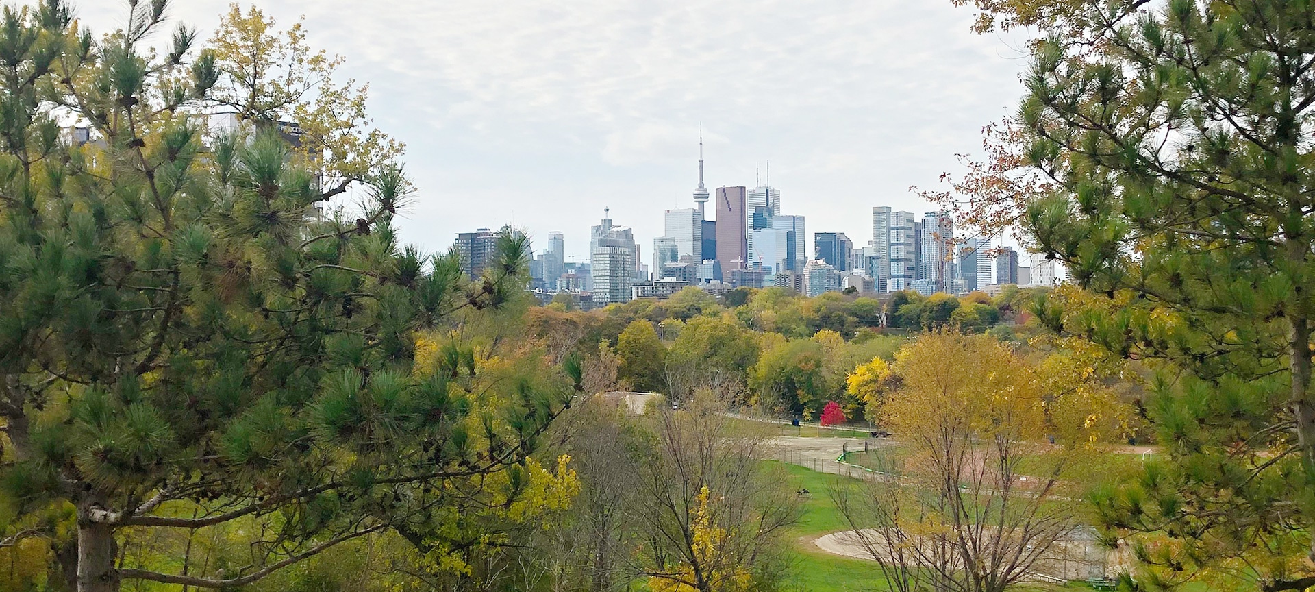 Urban and Rural Forest Management