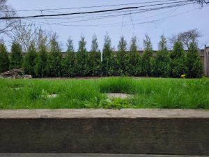 Still some sod to lay - but this client will have a wall of privacy very soon!